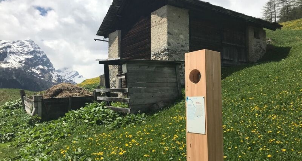 Rheinquellweg Landwirtschaft Rheinquellweg Landwirtschaft