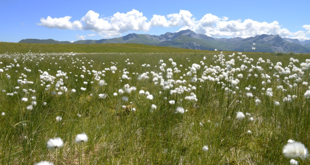 Naturlandschaft Beverin Naturlandschaft Beverin