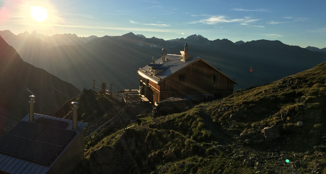 Chamonna Lischana CAS/SAC (oua_29592699_image)