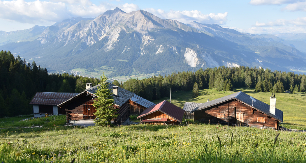 Munter - Ziteil - Tigignas (oua_29624575_image) Munter - Ziteil - Tigignas (oua_29624575_image)