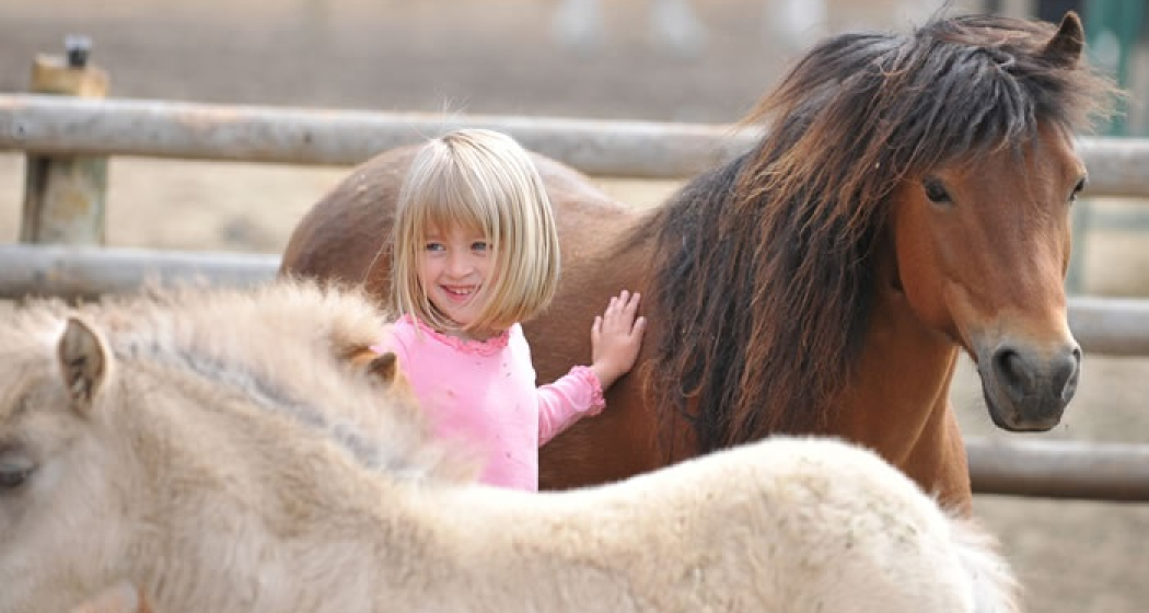 Reitschule Klosters (oua_29661902_image)