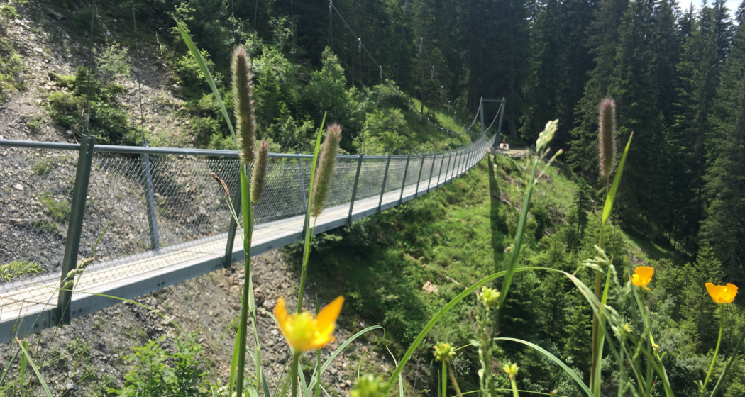 Hängebrücke Buchnertobel