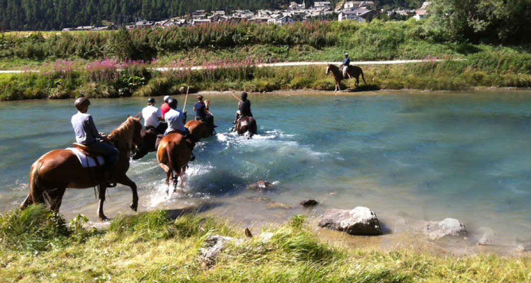 HETS Die Schule für Natural Horsemanship (oua_30375674_image) HETS Die Schule für Natural Horsemanship (oua_30375674_image)