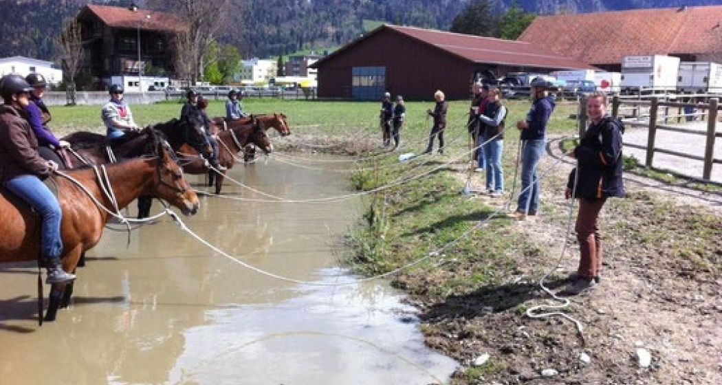 HETS Die Schule für Natural Horsemanship (oua_30375707_image) HETS Die Schule für Natural Horsemanship (oua_30375707_image)