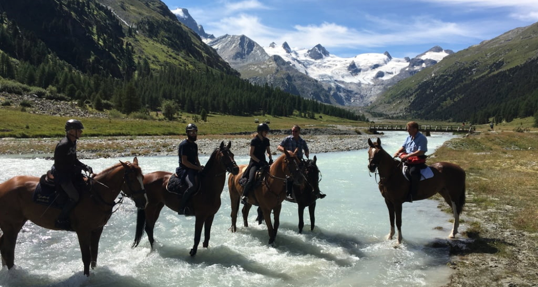 Engadin Galopp GmbH (oua_30376576_image) Engadin Galopp GmbH (oua_30376576_image)