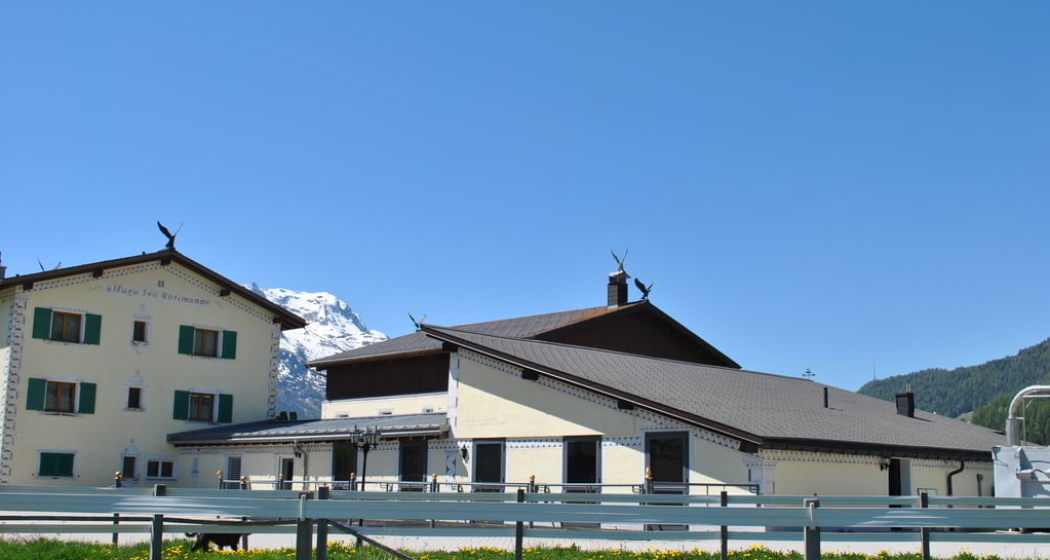 Engadin Galopp GmbH (oua_30376582_image) Engadin Galopp GmbH (oua_30376582_image)
