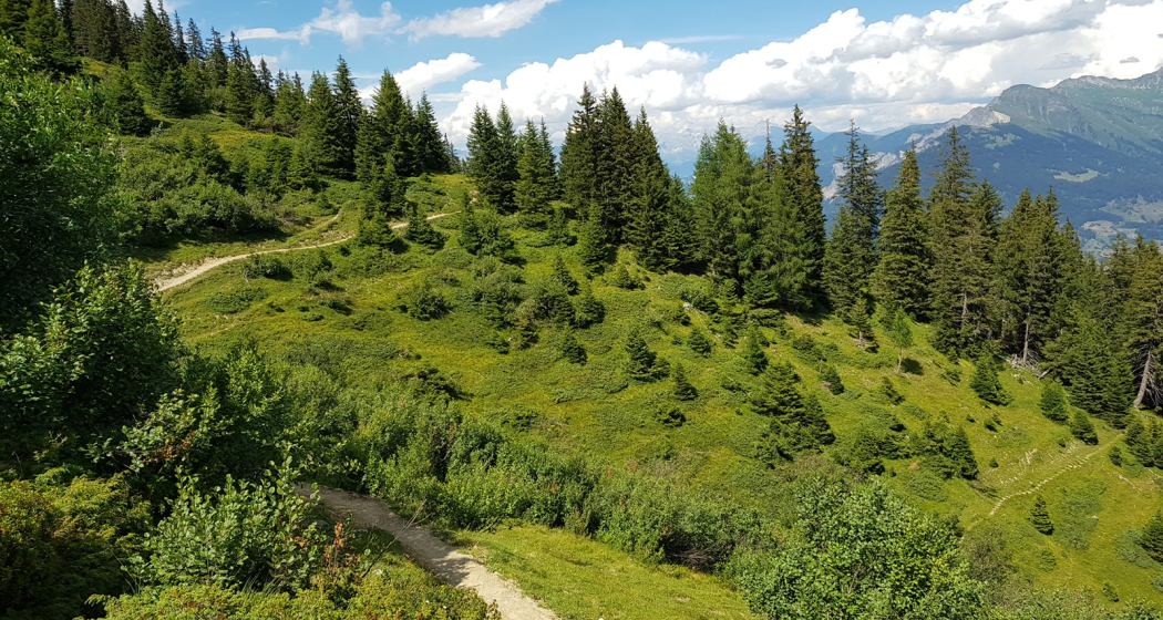Wanderung Brambrüesch - Pradaschier Wanderung Brambrüesch - Pradaschier