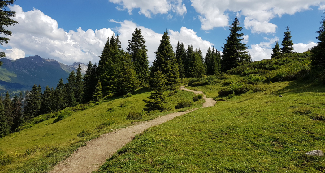 Wanderung Brambrüesch - Pradaschier Wanderung Brambrüesch - Pradaschier