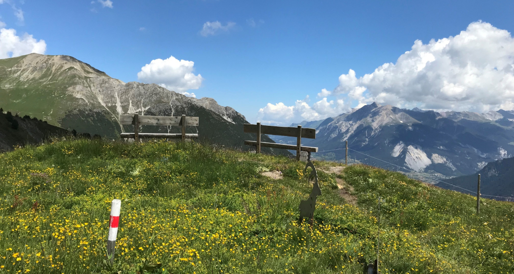 Grillstelle Alpenflora-Erlebnisweg, Somtgant (oua_30792222_image) Grillstelle Alpenflora-Erlebnisweg, Somtgant (oua_30792222_image)