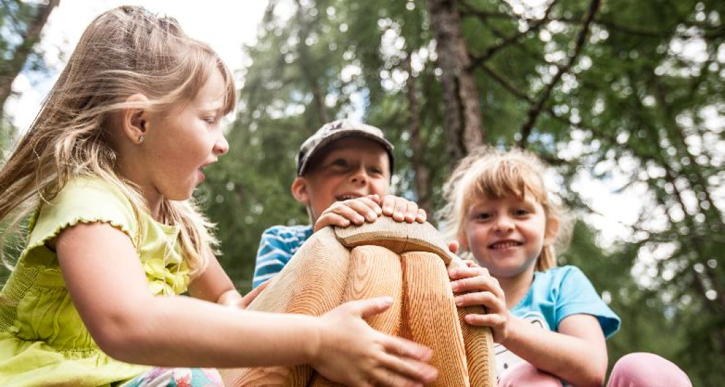 Spielplatz Plazzöl in Müstair (oua_30816238_image)