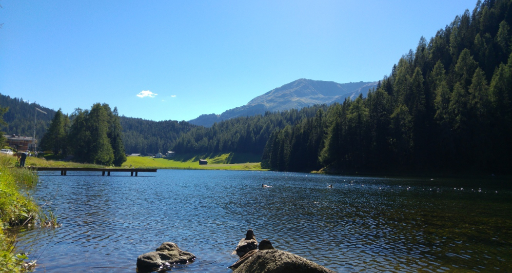 Schwarzsee (oua_31227230_image)