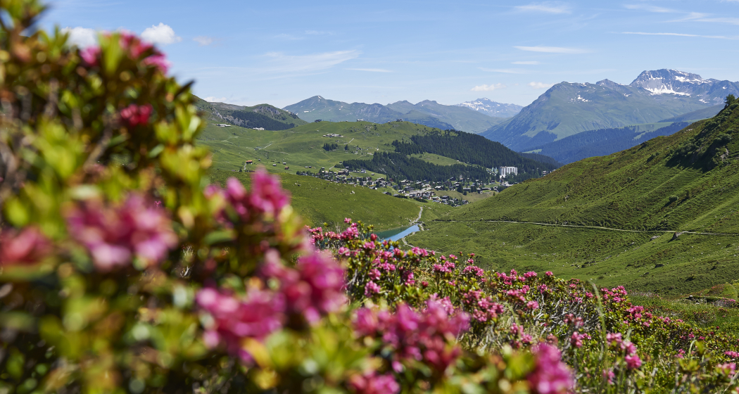 Schwellisee Panoramaweg Schwellisee Panoramaweg
