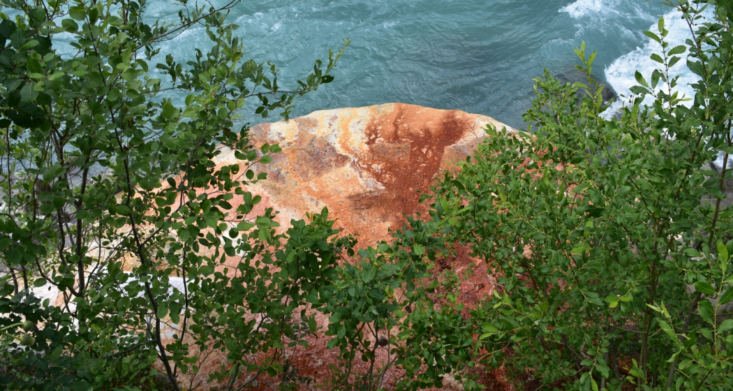 Funtana Bonifacius (oua_31732340_image)