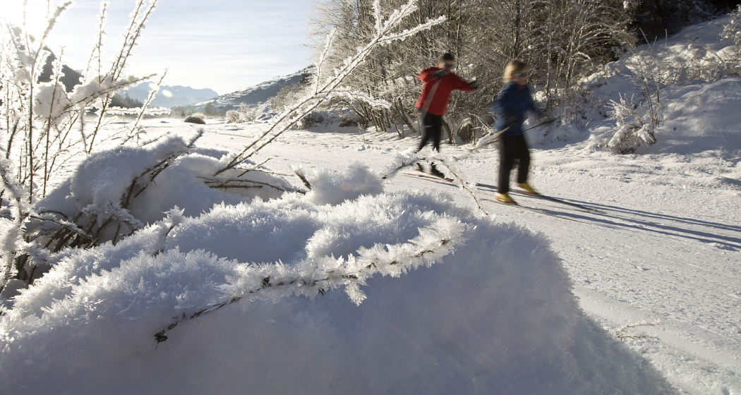 Tarasp: Sgnè (oua_31940809_image)