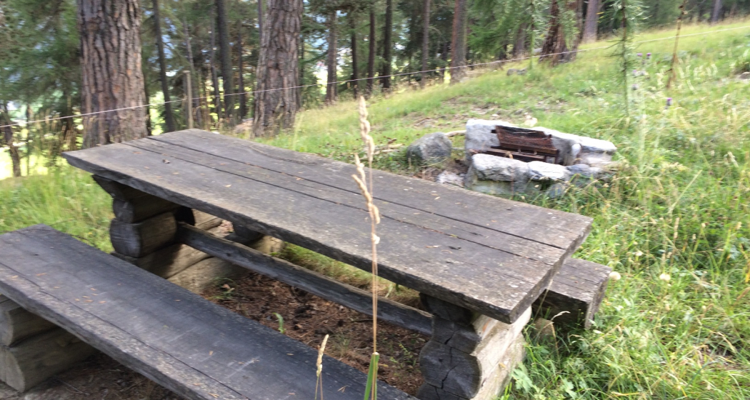 Feuerstelle Plan Mus-chan (oua_31941408_image) Feuerstelle Plan Mus-chan (oua_31941408_image)