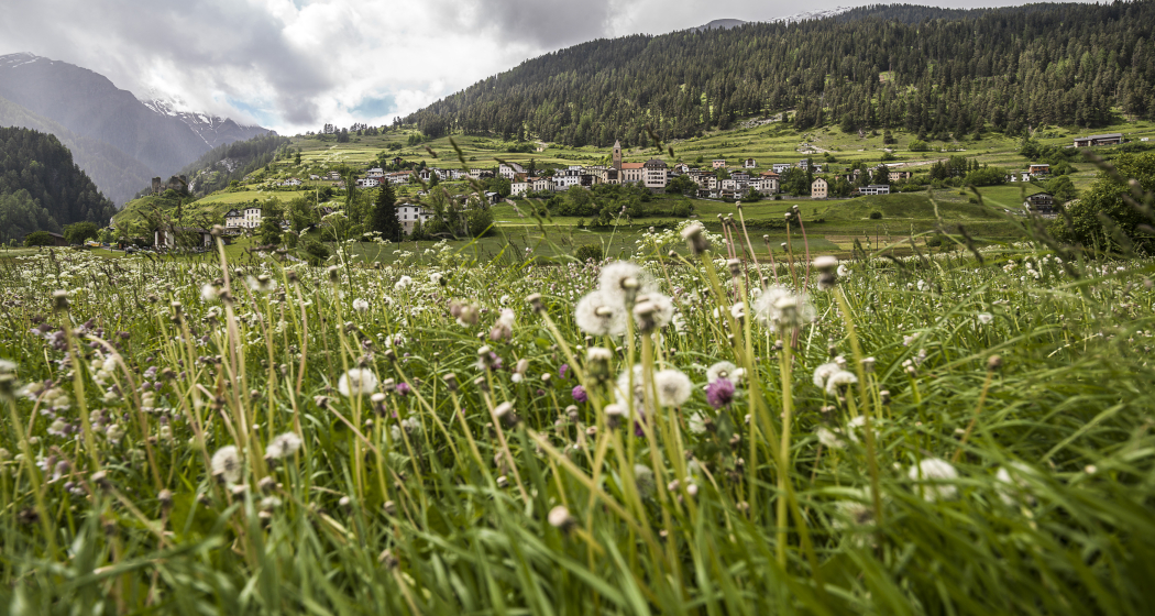 Ramosch - Val Sinestra, entlang der Branclaschlucht (oua_32231551_image) Ramosch - Val Sinestra, entlang der Branclaschlucht (oua_32231551_image)