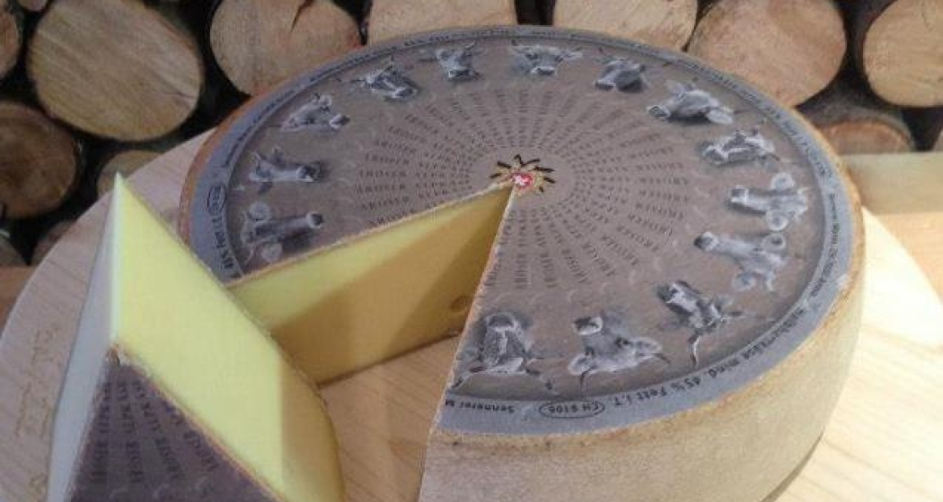 Käse Käse