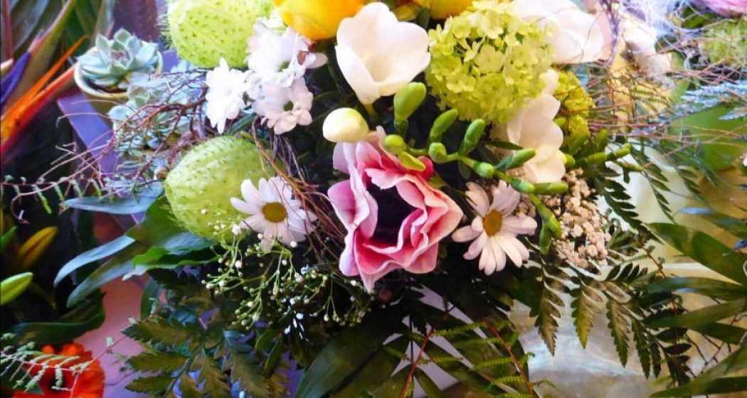 Blume Blume