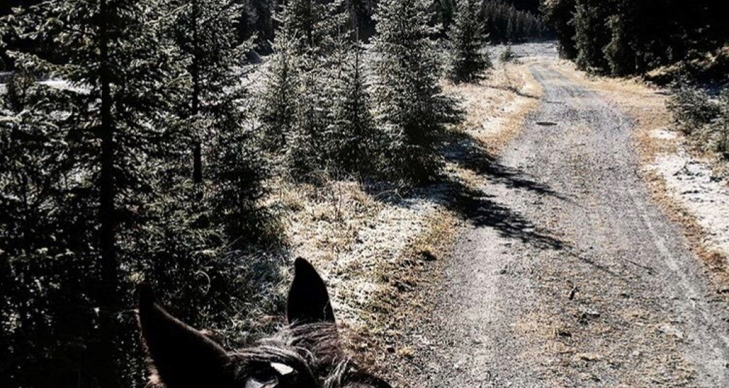 Reittour Isel Reittour Isel