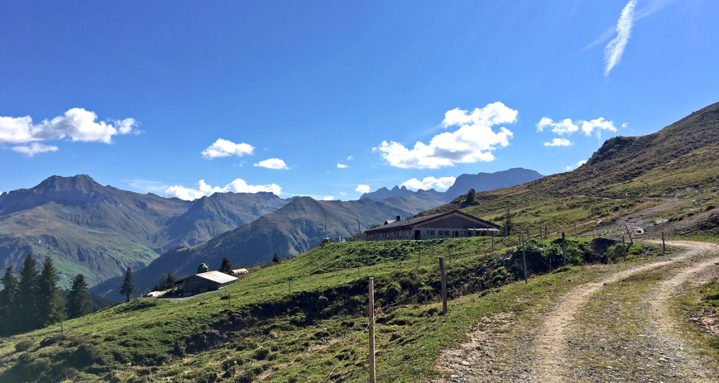 Alp Valpun, meist bis Mitte September bestossen.