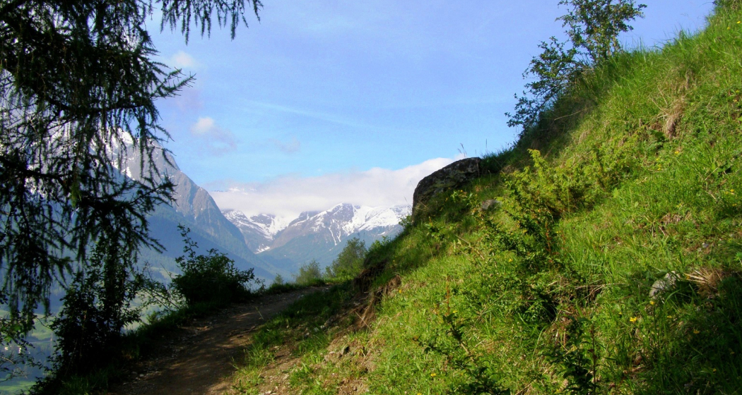 Blick ob Scuol Richtung Oberengadin Blick ob Scuol Richtung Oberengadin