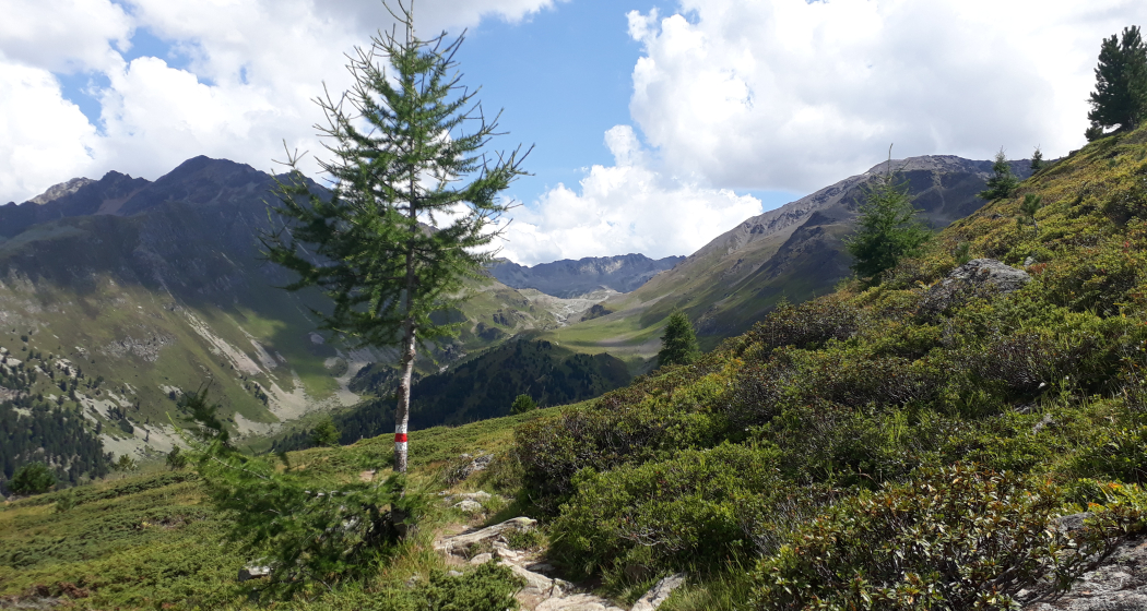 Panoramaweg Darlux (oua_33182246_image)