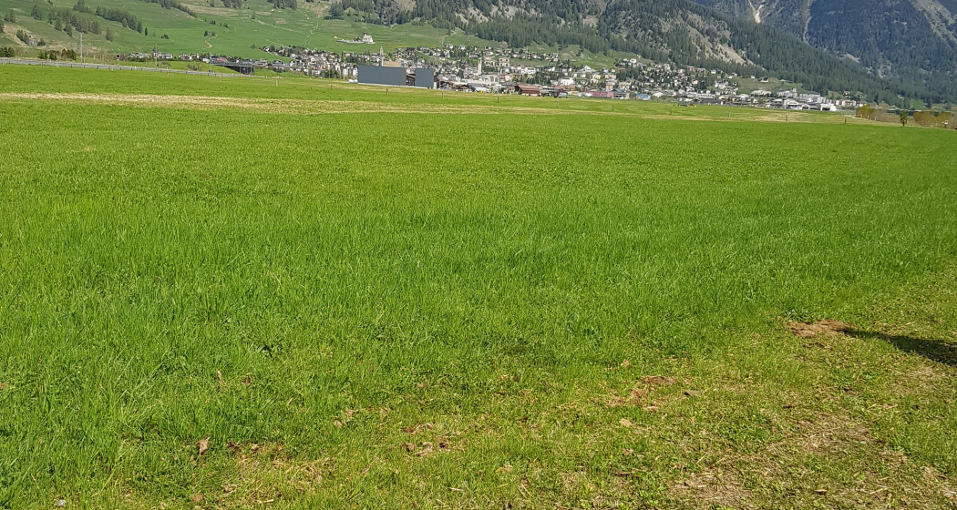 Ausblick über die Talsohle nach Samaden