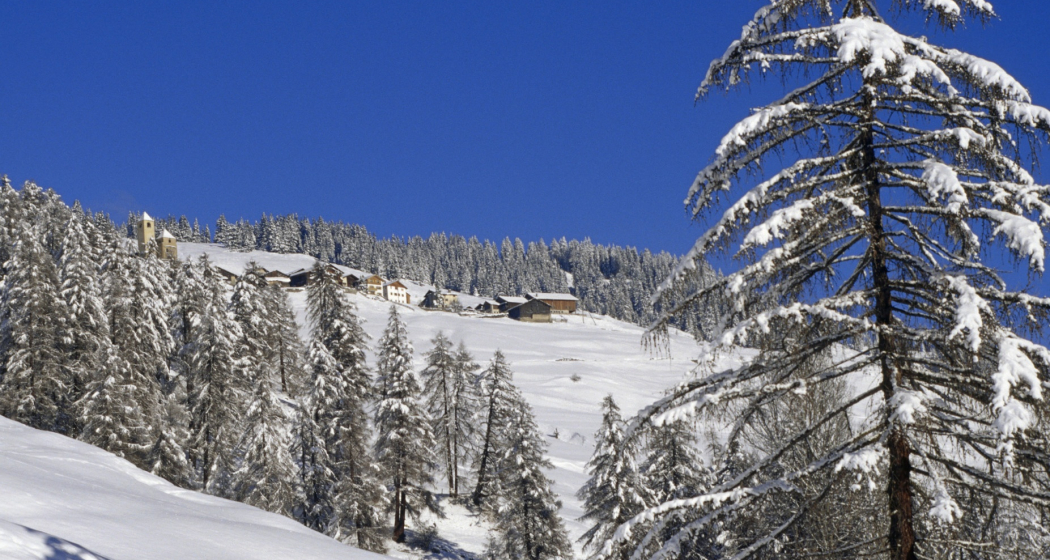 Lohn Winter Lohn Winter