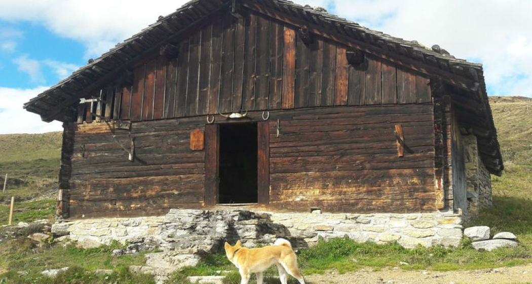 Alpmuseum Staviala Vedra Alpmuseum Staviala Vedra