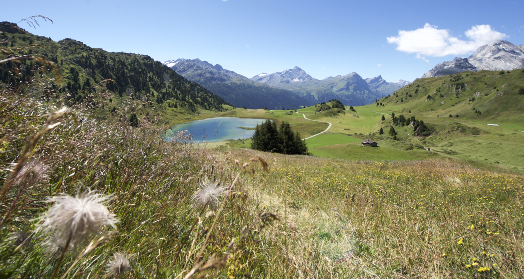 Lai da Vons Lai da Vons