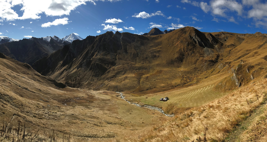 Planer Salaas Planer Salaas