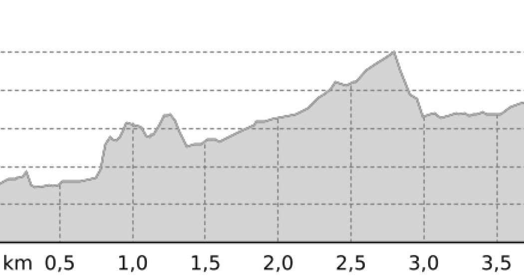 Schneeschuhtrail Plauns (oua_33889278_f43d87a_profile) Schneeschuhtrail Plauns (oua_33889278_f43d87a_profile)