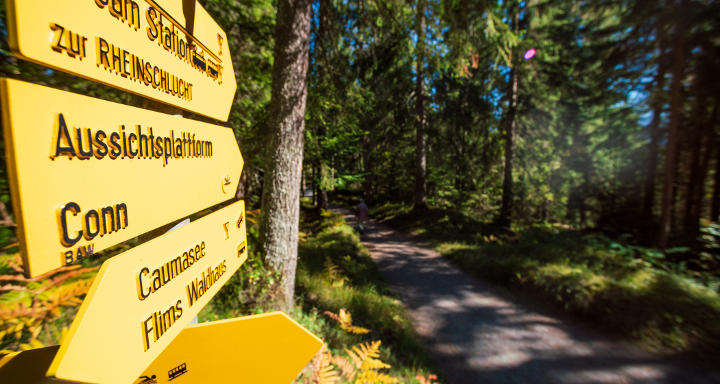 4-Seen-Wanderung: Caumasee - Crestasee - Felsbachschlucht (oua_34448808_image) 4-Seen-Wanderung: Caumasee - Crestasee - Felsbachschlucht (oua_34448808_image)