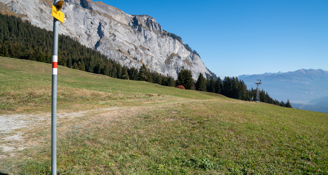 Höhenweg Foppa - Scheia - Fidaz - Flims