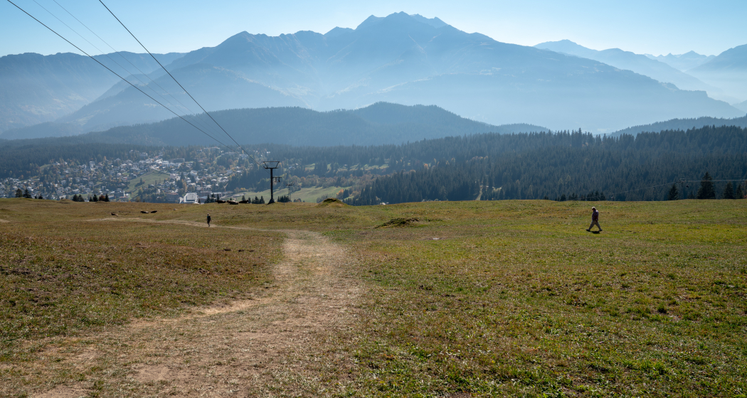Höhenweg Foppa - Scheia - Fidaz - Flims