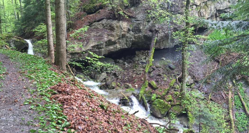 Fluppibach Fluppibach