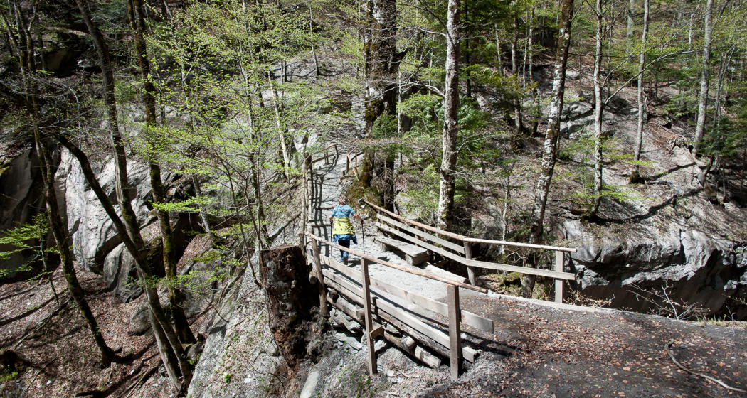 Naturbrücke auf den Weg zur Taminaschlucht Naturbrücke auf den Weg zur Taminaschlucht