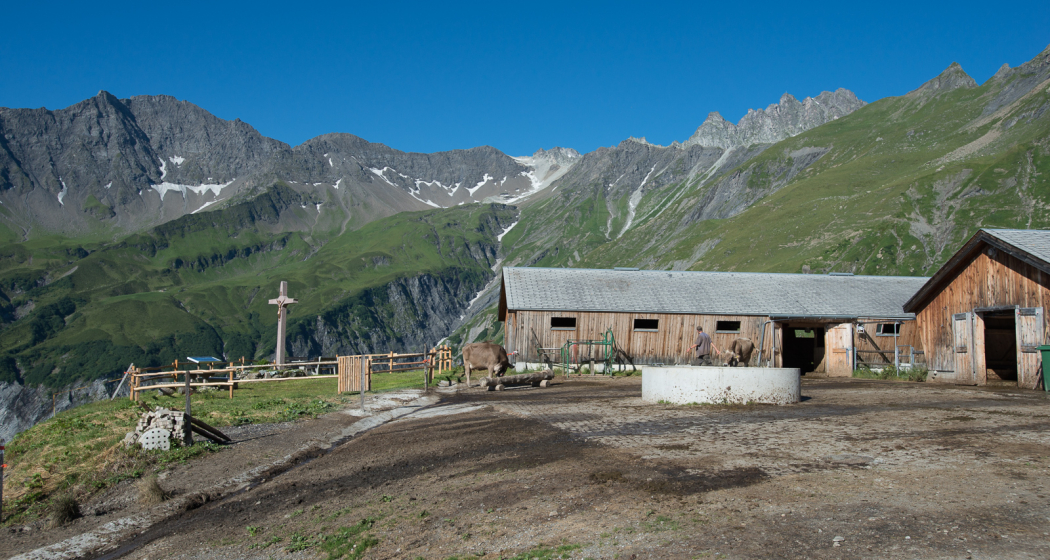 Alp Vasöner-Lasa mit Blick zum Pizol Alp Vasöner-Lasa mit Blick zum Pizol