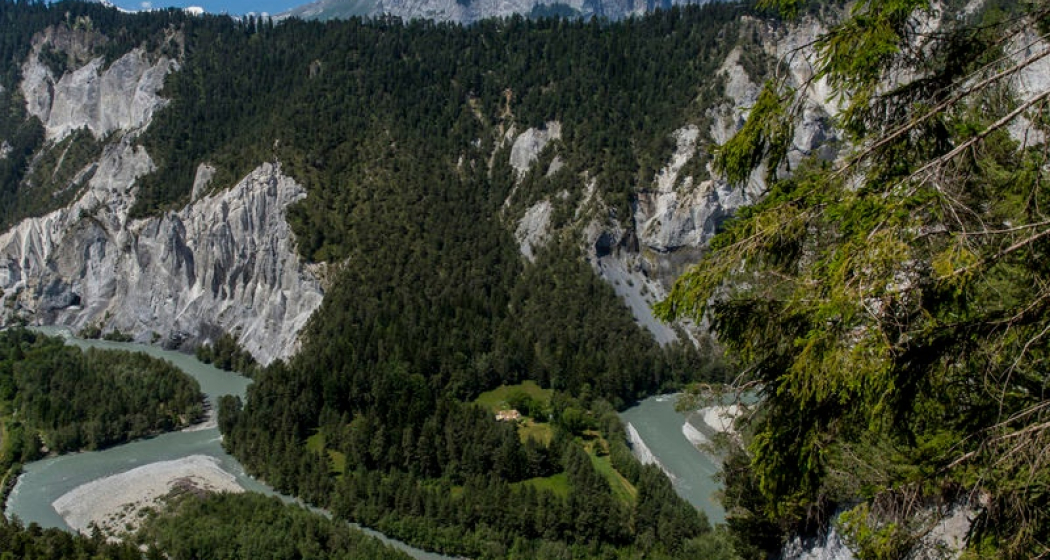 Sommer Rheinschlucht Sommer Rheinschlucht