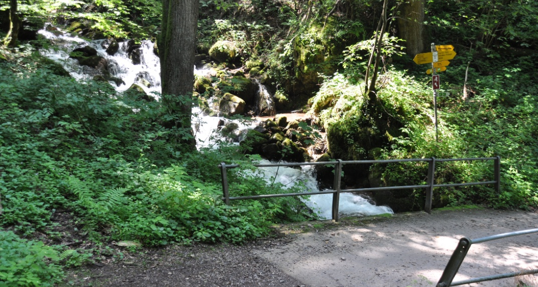Die Chammbach-Brücke zwischen Ober- und Unterterzen Die Chammbach-Brücke zwischen Ober- und Unterterzen