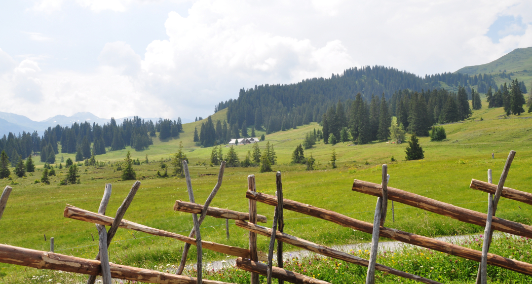 Die Hochebene Prodriet Die Hochebene Prodriet
