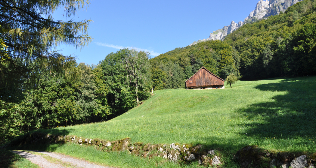 Die Lichtung Frachtina Die Lichtung Frachtina