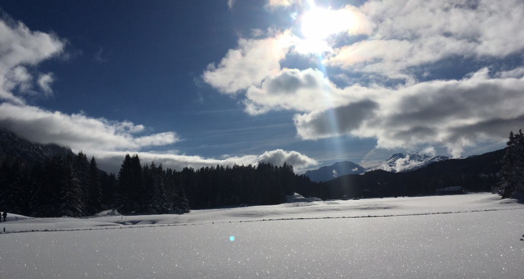 Heidsee im Winterkleid Heidsee im Winterkleid