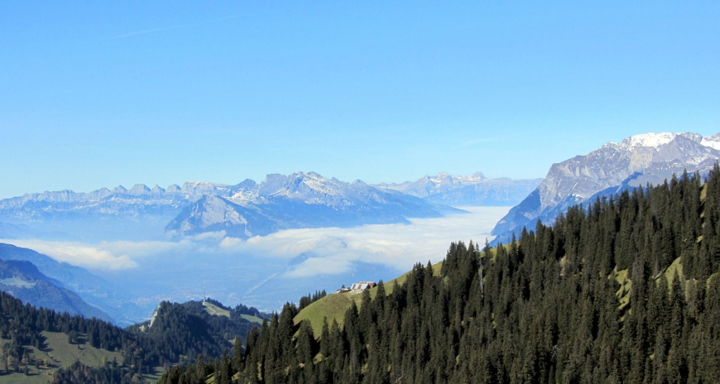 Panorama Panorama