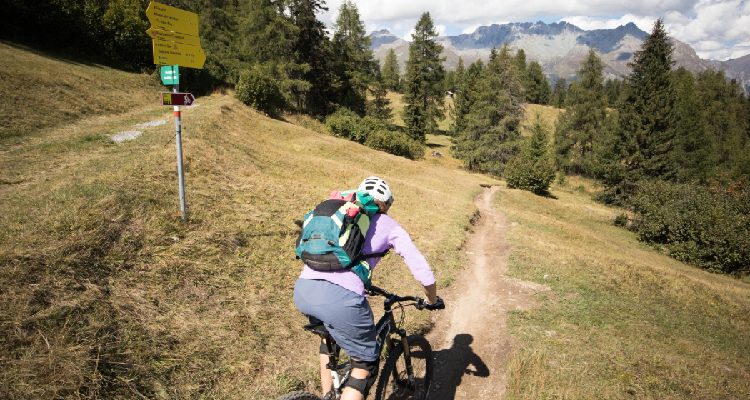 Fimberpass – Val d'Uina – Reschenpass: Schleis / Mals – Martina (443.03) (oua_37065525_image) Fimberpass – Val d'Uina – Reschenpass: Schleis / Mals – Martina (443.03) (oua_37065525_image)