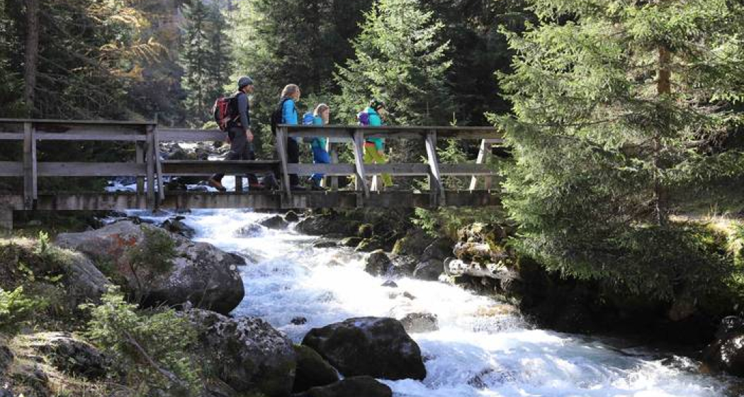 Natura Trail - Parc Ela 1 Natura Trail - Parc Ela 1