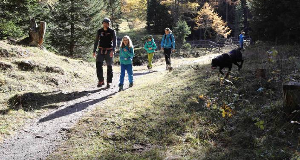 Natura Trail - Parc Ela 1 Natura Trail - Parc Ela 1