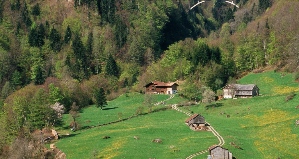Valens Blick auf die Brücke