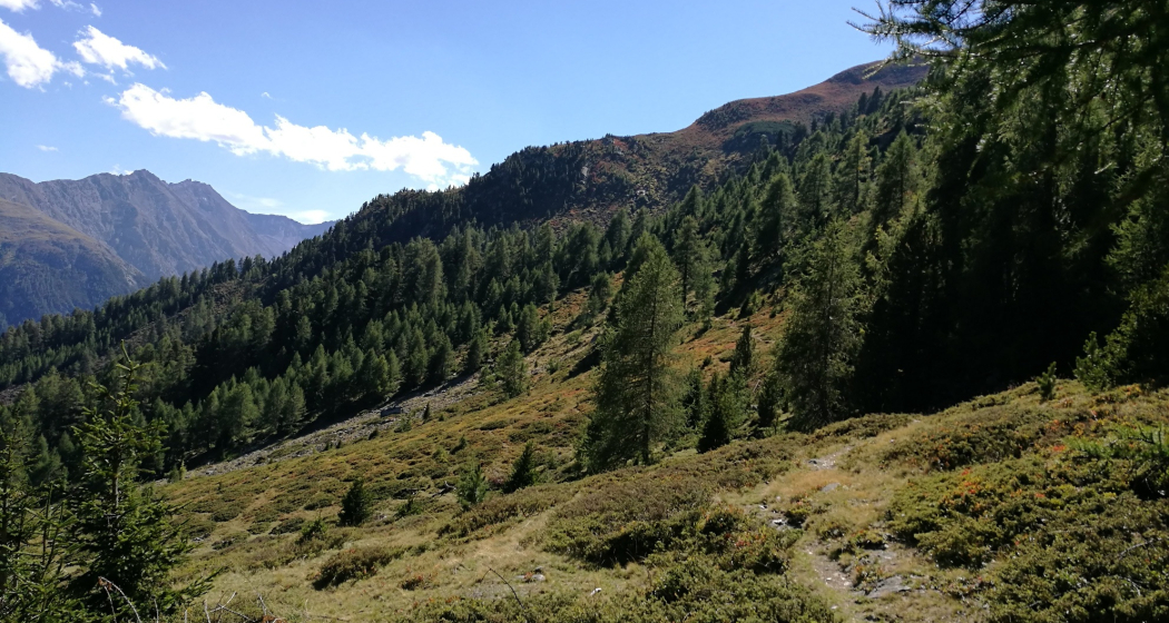 Brail – Alp Barlas-ch – Alp Munt – Zernez (oua_37687247_image)