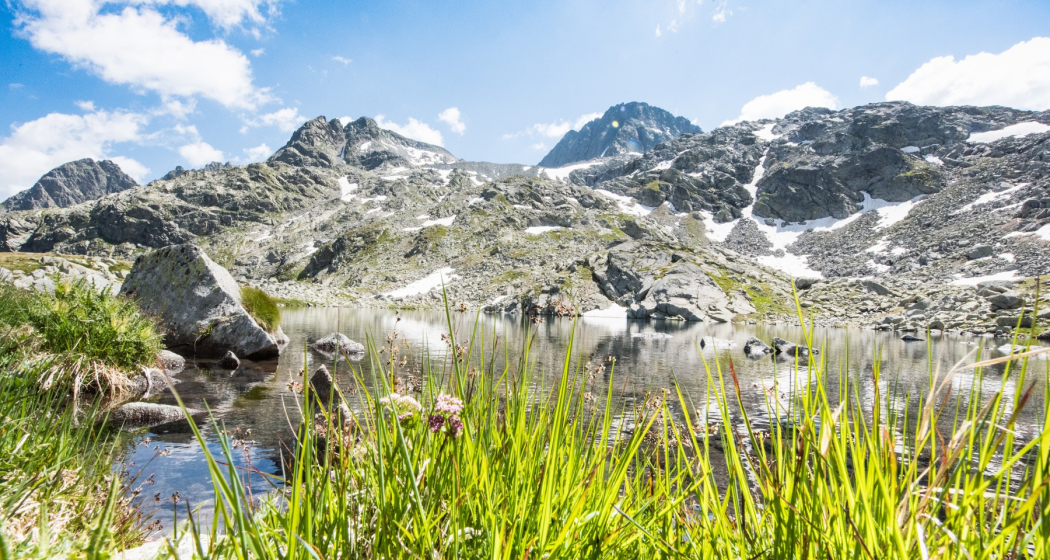 Bergseeli Splügenpass Bergseeli Splügenpass